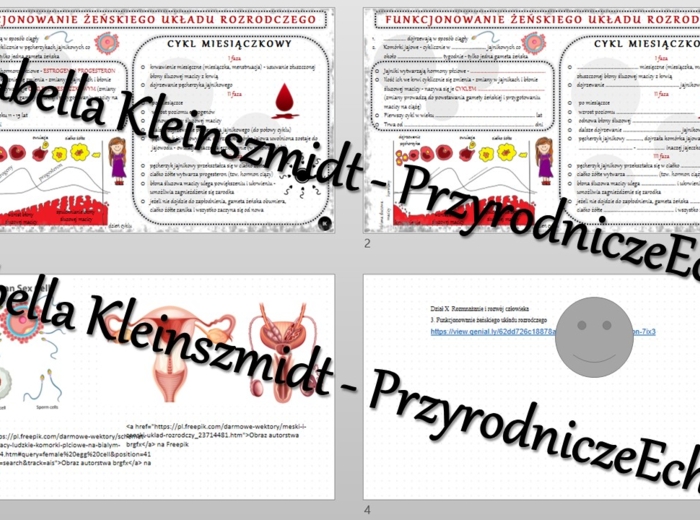 Minizestaw na temat „Funkcjonowanie żeńskiego układu rozrodczego” – sketchnotka + karta pracy w power point + gratisowy link do prezentacji multimedialnej niekomercyjnej wykonanej w genial.ly do indywidualnego pobrania i użycia do celów niekomercyjnych. 