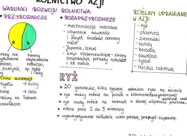 Rolnictwo w Azji - sketchnotka