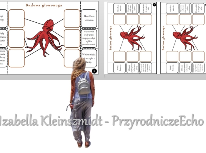 Notatka okienkowa „Budowa ośmiornicy”, „Mięczaki – zwierzęta, które mają miękkie ciało”. Biologia 6 „Stawonogi i mięczaki”.