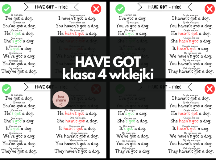 Have got - Wklejki dla klasy 4