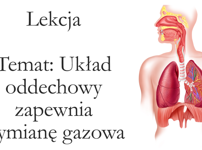 Klasa 4 - Układ oddechowy - prezentacja