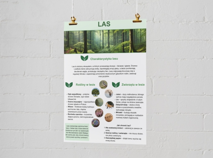 Plakaty o ekosystemach. Las, łąka, jezioro, morze, góry.