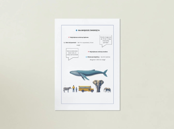 Plakaty przedstawiające ekosystemy, zwierzęta, rośliny, ochronę środowiska.