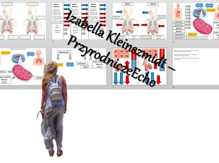 Materiał do zalaminowania/praca w grupach/układanka/puzzle „Wentylacja płuc/wdech i wydech/wymiana gazowa”, „Mechanizm oddychania” w pdf. Biologia 7 dział „Układ oddechowy”.