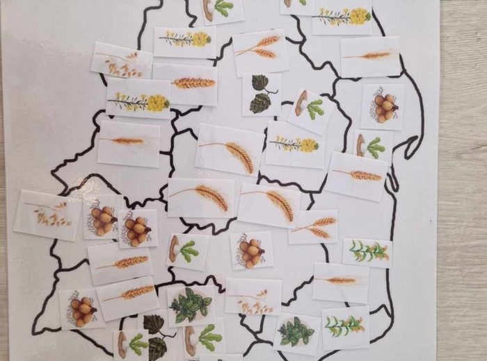 "Produkcja roślinna w Polsce/do zalaminowana/układanka/puzzle/rozmieszczenie upraw w Polsce/rozpoznawanie gatunków w pdf. „Produkcja roślinna”. Geografia 7 "Rolnictwo i przemysł Polski"