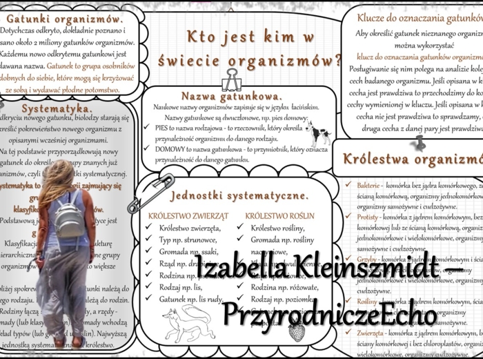 Sketchnotka/notatka/streszczenie/wklejka/ściąga dla ucznia i nauczyciela. Temat „Kto jest kim w świecie organizmów?” w pdf. Biologia 5 dział „Klasyfikacja i systematyka. Wirusy. Bakterie. Prostisty. Grzyby.”. Wykonana na podstawie podręcznika z wydawnict