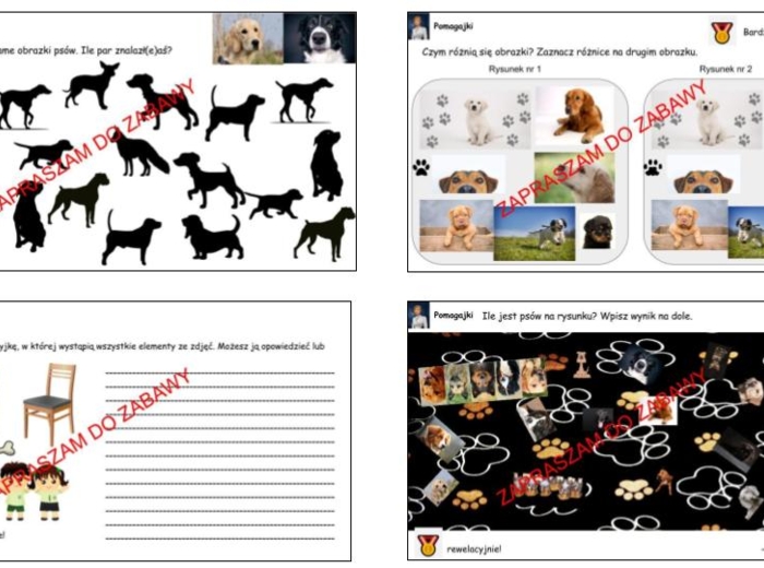 ?Psie zabawy - ? trening mózgu, koncentracji, wyobraźni i spostrzegawczości