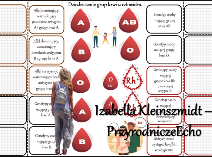 Notatka okienkowa/stacja zadaniowe/notatka/notatka graficzna/karta pracy/sketchnotka „Dziedziczenie grupy krwi”, „Jak zapisać krzyżówkę genetyczną?” w pdf. Biologia 8 dział „Genetyka”. Materiał wykonany na podstawie podręcznika z wydawnictwa Nowa Era – n