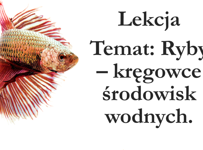 Klasa 6 - Ryby - prezentacja