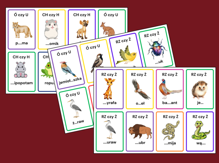 KARTY ORTOGRAFICZNE – zwierzęta - ptaki – ORTOGRAFIA – 56 szt.