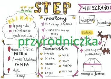 Step (3 karty pracy)