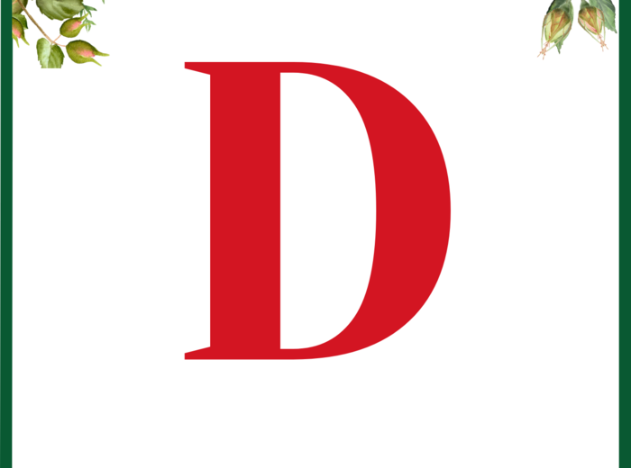 DZIEŃ KOBIET – girlanda – napis – gazetka – wersja 3