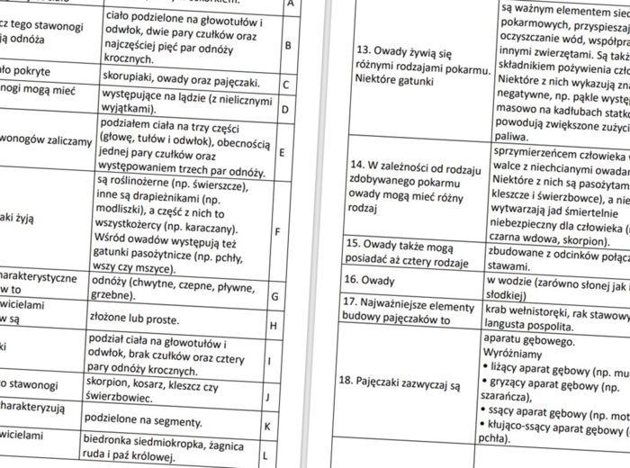 Stawonogi i mięczaki (rozsypanka)