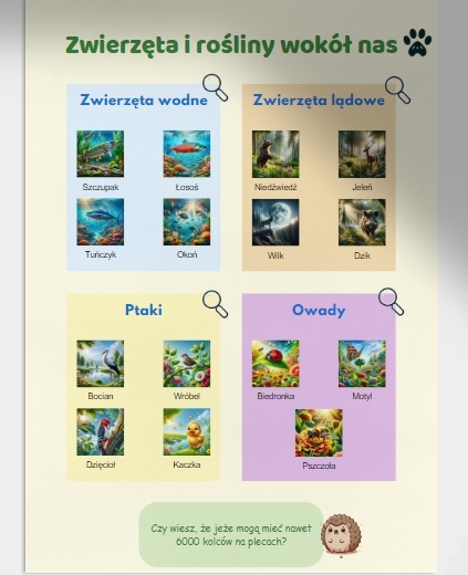 Czym jest ekologia? Zwierzęta i rośliny wokół nas. Jak chronić przyrodę?