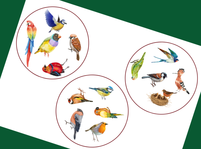 DZIEŃ PTAKÓW – dooble – WIOSNA - biblioteka – świetlica – przedszkole – 36 szt.