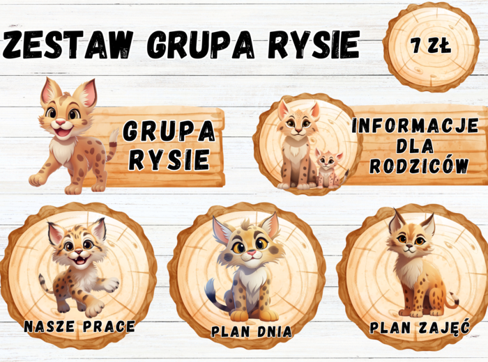 ZESTAW GRUPA RYSIE