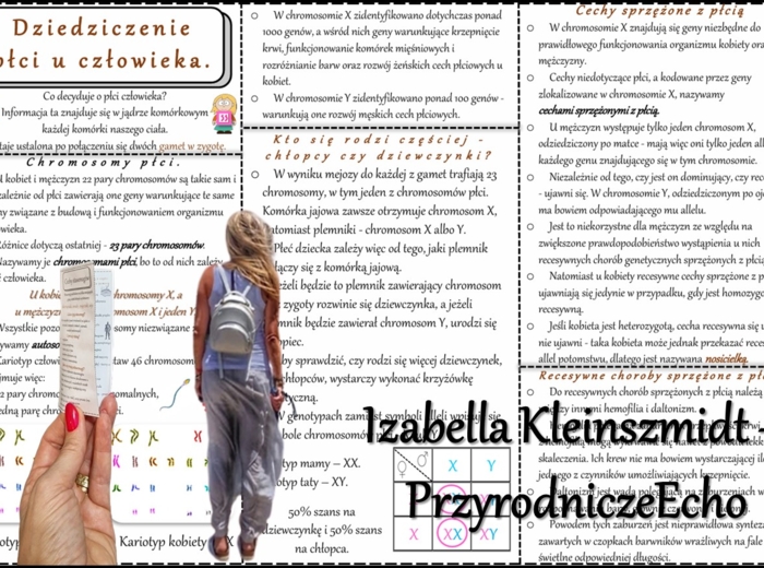 Książeczka/sketchnotka/notatka/wklejka/streszczenie dla ucznia i przypomnienie dla nauczyciela/edukacja domowa/materiał w pigułce. Temat „Dziedziczenie płci u człowieka” w pdf. Biologia 8, dział „Genetyka”. Nowość 2024/2025.