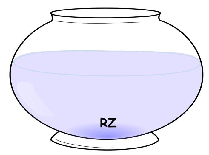 Gra ortograficzna - rybki