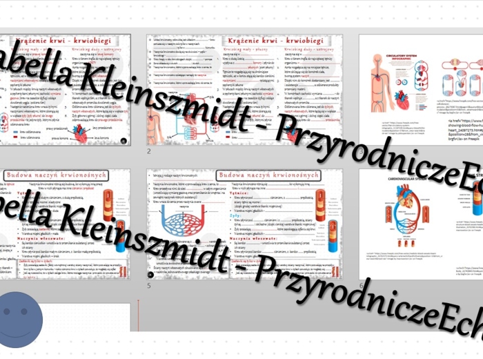 Minizestaw na temat „Krążenie krwi” – sketchnotka + karta pracy w power point + gratisowy link do prezentacji multimedialnej niekomercyjnej wykonanej w genial.ly do indywidualnego pobrania i użycia do celów niekomercyjnych. Biologia 7, „Układ krwionośny”