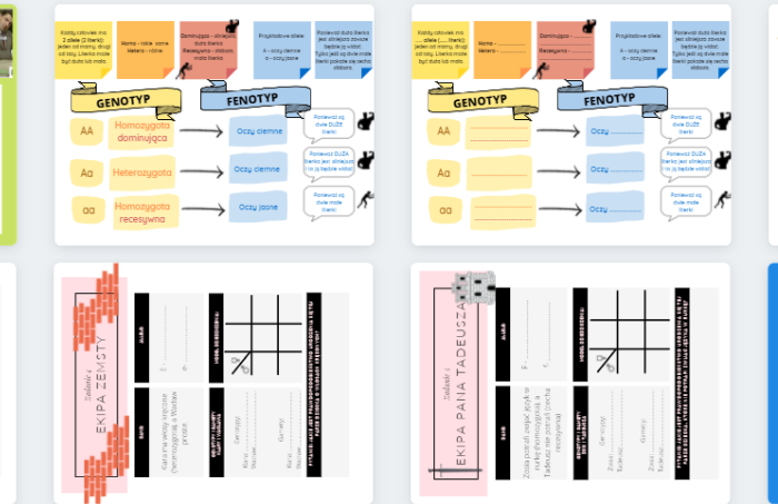 Pełen zestaw materiałów - genetyka (po aktualizacji!)
