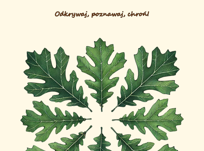 Zwierzęta naszych lasów. Plakat. Bingo