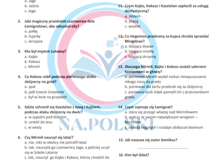 Kajko i Kokosz - kartkówka z treści lektury