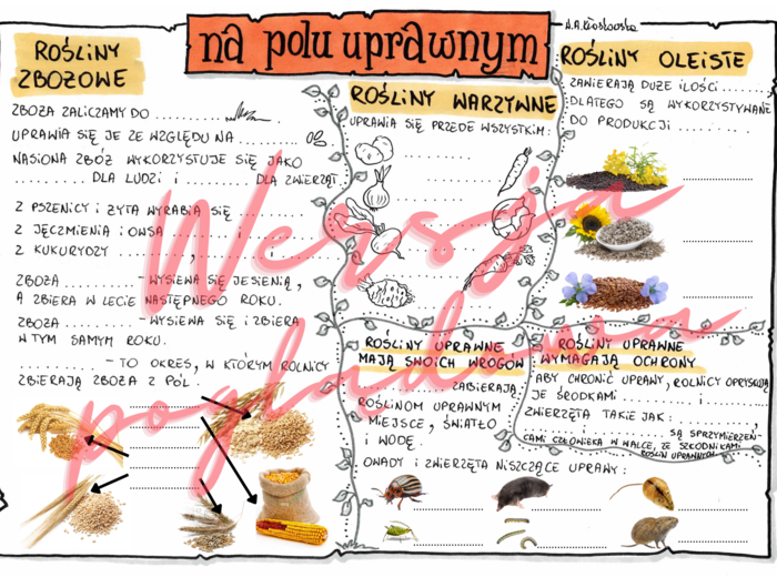 Na polu uprawnym - przyroda kl. 4