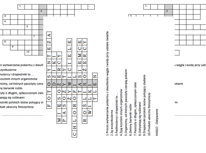 Logogryf dla klasy 4 na podsumowanie lekcji o odżywianiu organizmów