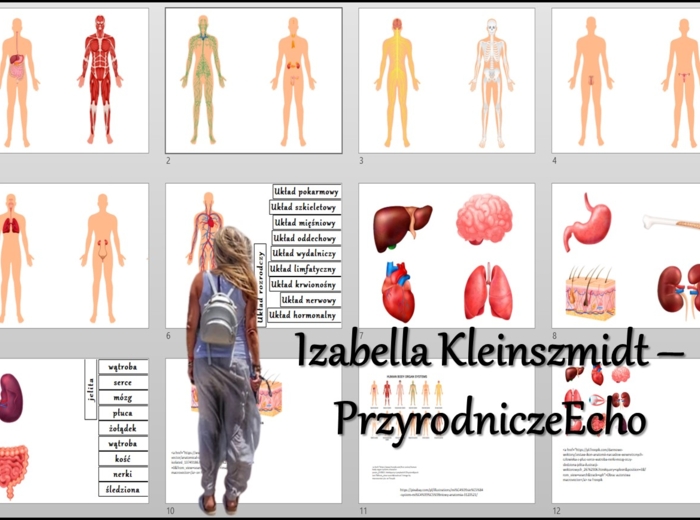 Materiał do zalaminowania/praca w grupach/stacje zadaniowe/układanka/puzzle/notatki okienkowe. Temat: „Narządy i układy narządów człowieka”, „Organizm człowieka jako funkcjonalna całość” w pdf. Biologia 7 dział „Organizm człowieka. Skóra - powłoka organi