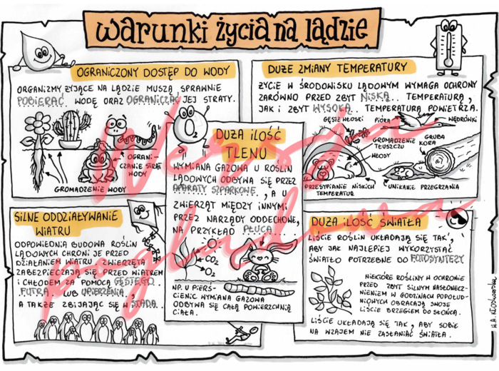 Warunki życia na ladzie -przyroda kl. 4 -wypełniona karta pracy