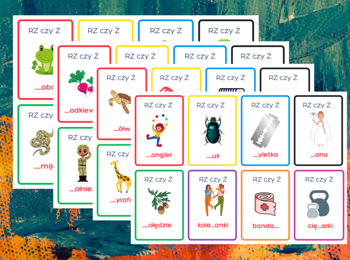 KARTY ORTOGRAFICZNE - RZ/Ż - 80 szt. - ortografia