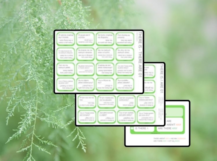 THERE IS – THERE ARE 01