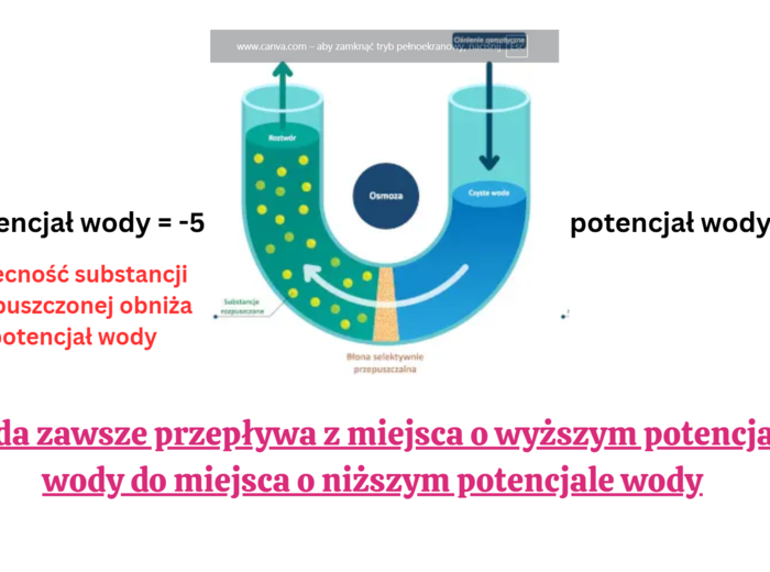 funkcjonowanie roślin KLASA 2 BIOLOGIA ROZSZERZONA