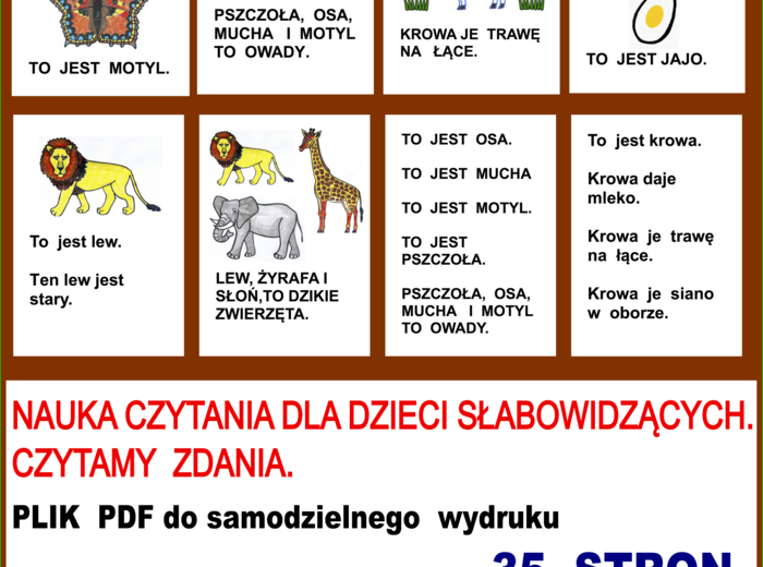 NAUKA CZYTANIA DLA DZIECI SŁABOWIDZĄCYCH. CZYTAMY ZDANIA.