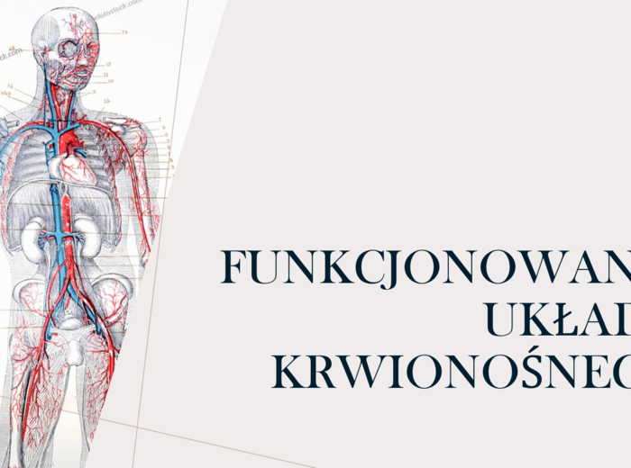 Funkcjonowanie układu krwionośnego KLASA 3 ROZSZERZENIE BIOLOGIA