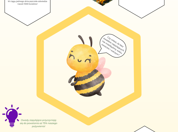 Plansze edukacyjne. Zwierzęta i rośliny chronione. Ekosystemy.