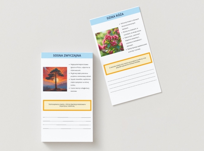 Karty z infografiką lokalnej fauny i flory. Gatunki roślin i zwierząt