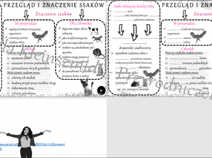 Minizestaw na temat „Przegląd i znaczenie ssaków”– sketchnotka + karta pracy w power point + gratisowy link do prezentacji multimedialnej niekomercyjnej wykonanej w genial.ly do indywidualnego pobrania i użycia do celów niekomercyjnych. Biologia 6, dział