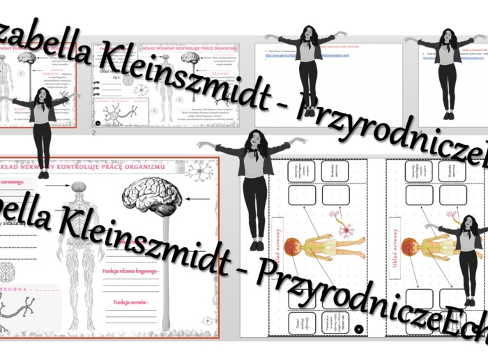 Kompletny zestaw na jedną lekcję „Układ nerwowy kontroluje pracę organizmu” – sketchnotka + karty pracy w power point + gratisowy link do prezentacji multimedialnej niekomercyjnej + gratisowy link do lekcji multimedialnej niekomercyjnej również wykonanej