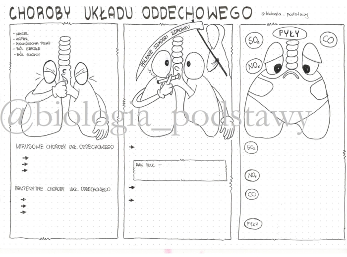 Klasa 7 - Choroby układu oddechowego - kp