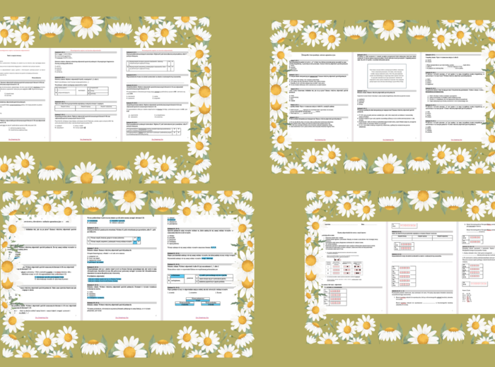 Testy egzaminacyjne CKE nauka o języku , ortografia i interpunkcja