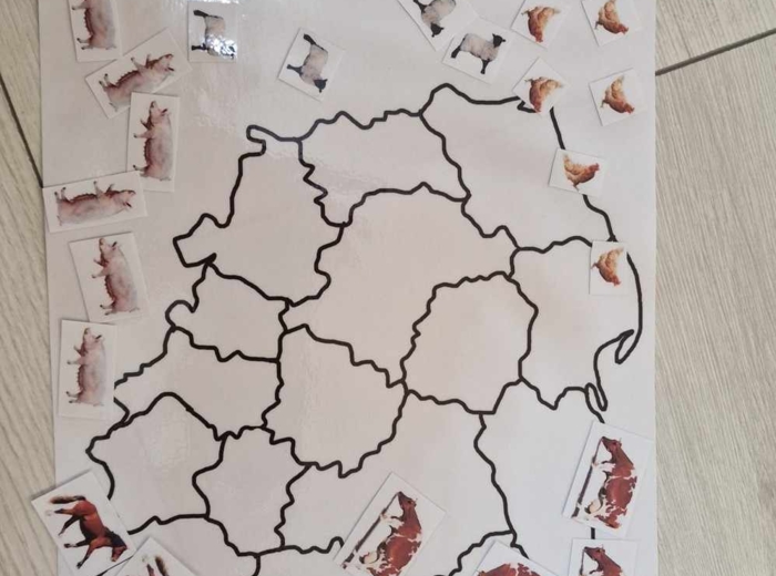 Produkcja zwierzęca w Polsce/do zalaminowana/układanka/puzzle/rozmieszczenie chowu w Polsce/rozpoznawanie gatunków w pdf. „Produkcja zwierzęca”. Geografia 7 "Rolnictwo i przemysł Polski"