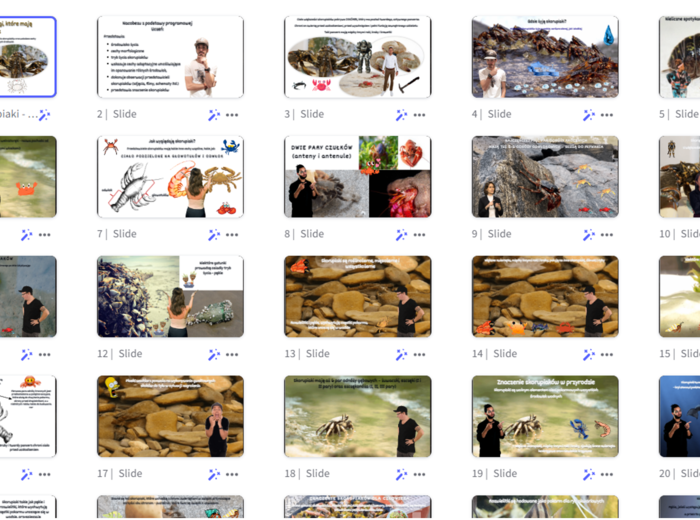 Prezentacja multimedialna w genial.ly „ Skorupiaki - stawonogi, które mają twardy pancerz” – do edycji i pobrania – biologia klasa VI, dział III – temat 2