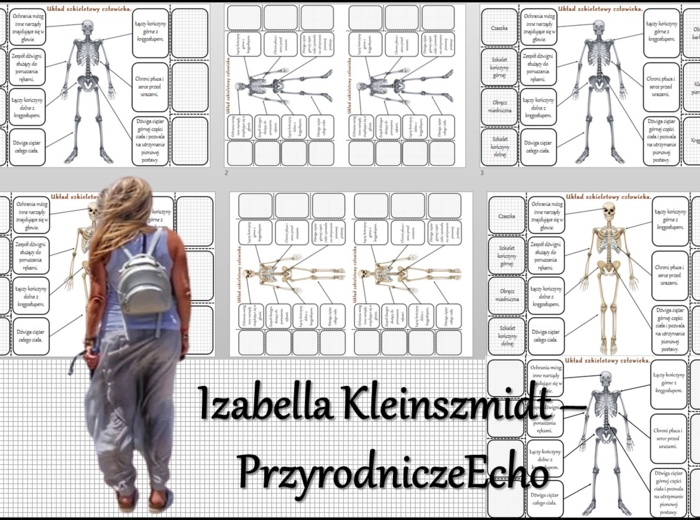 Notatka okienkowa/stacja zadaniowe/notatka interaktywna/notatka graficzna/karta pracy/sketchnotka „Budowa szkieletu”, „Aparat ruchu. Budowa szkieletu”. w pdf. Biologia 7, dział „Aparat ruchu”. Materiał wykonany na podstawie podręcznika z wydawnictwa Nowa