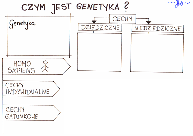 Czym jest genetyka? (karta pracy)