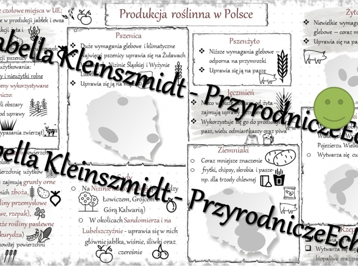 Sketchnotka - notatka „Produkcja zwierzęca” wykonana w power point do edycji. Geografia 7; „Rolnictwo i przemysł”