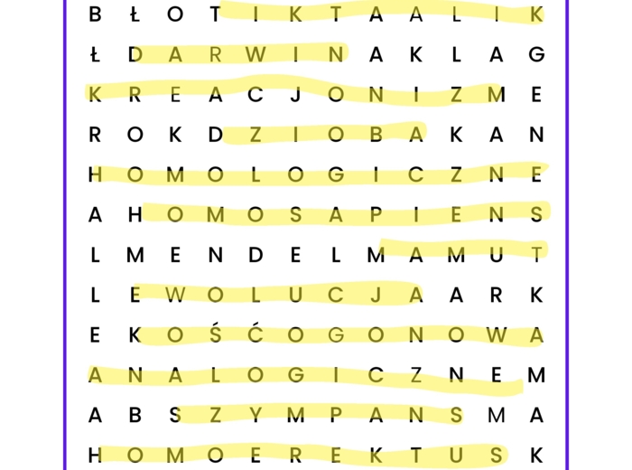 Wykreślanka -ewolucja