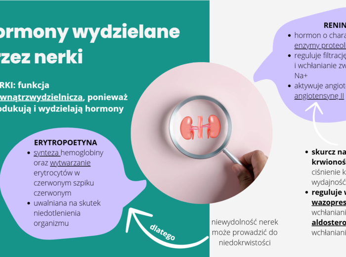 Układ wydalniczy 3 KLASA ROZSZERZENIE BIOLOGIA