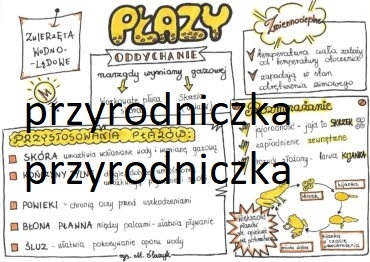 Klasa 6. Biologia. Płazy