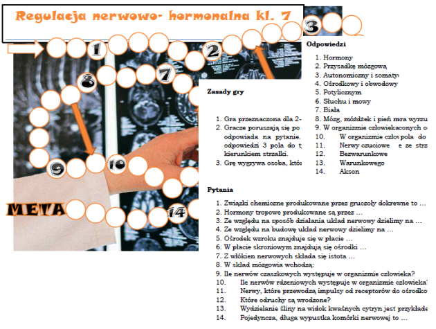 Regulacja nerwowo- hormonalna - gra planszowa dla klasy 7